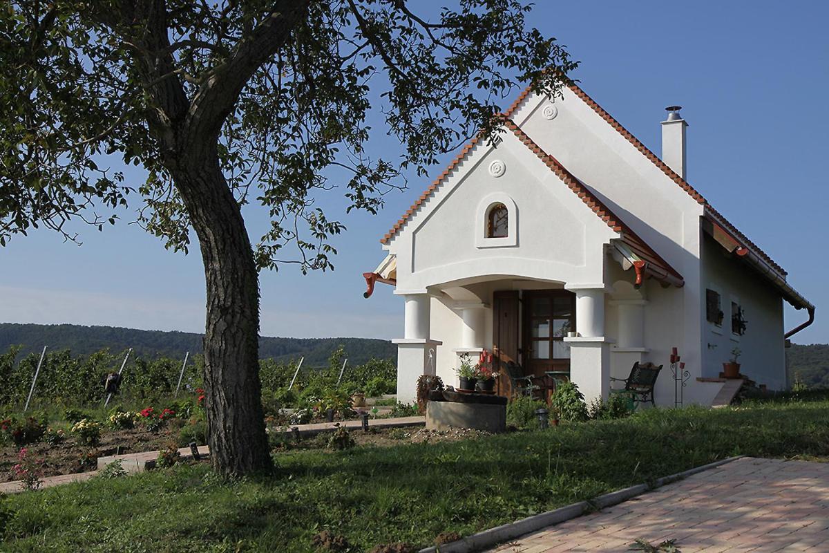 Villa Casa Beata à Lesencetomaj Extérieur photo